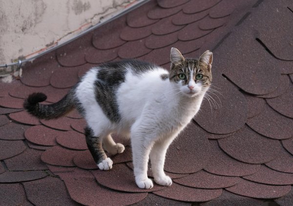 Guía para seleccionar el suelo ideal y de fácil mantenimiento para el dormitorio de tus hijos