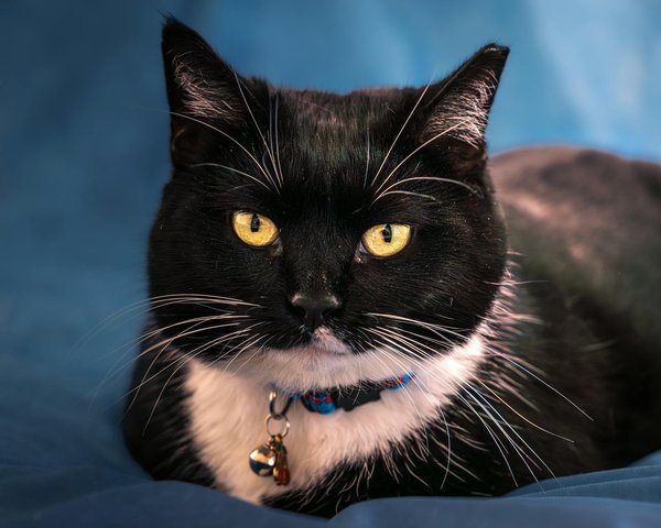 Secretos para una vida saludable que no querrás pasar por alto este año